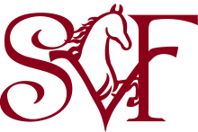 SVF-LogoWeb3